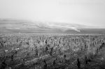 Au Bas de Combe 104014.jpg